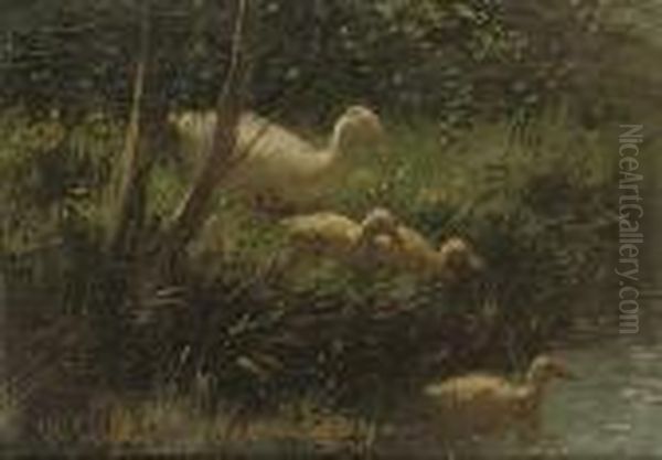 Learning To Swim - view 1