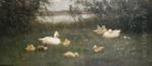 A Happy Brood