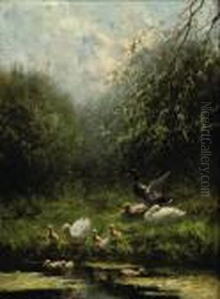 Ducks Entering The Pond - view 1