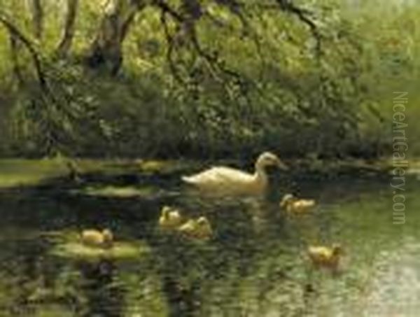Mother Duck And Her Ducklings - view 1
