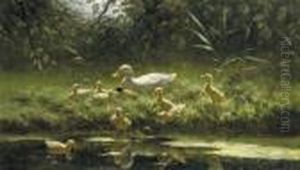 Ducklings On A Sunlit Riverbank