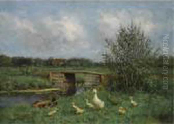Ducks On The Waterfront - view 1
