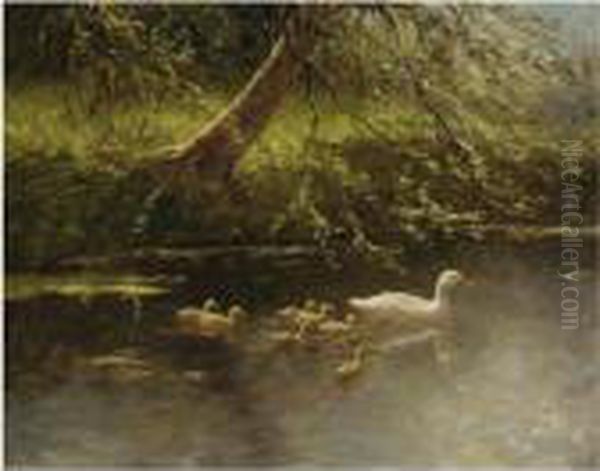 Ducklings On The Water - view 1