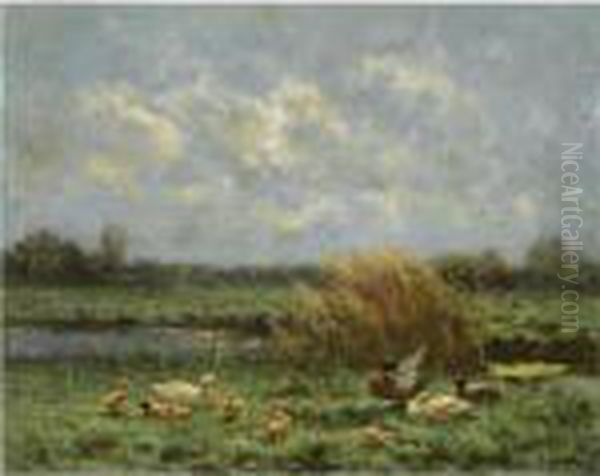 Ducks On The Riverbank - view 1