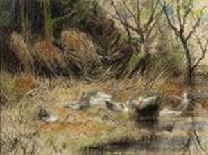 Ducks In The Grass At The Water's Edge by David Adolf Constant Artz