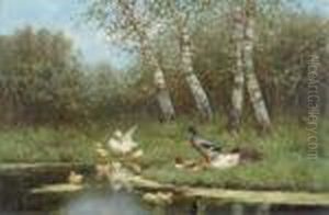 Enten Am Teich. by David Adolf Constant Artz
