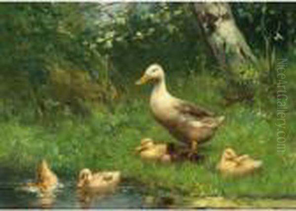 Duck And Ducklings At The Waterside - view 1