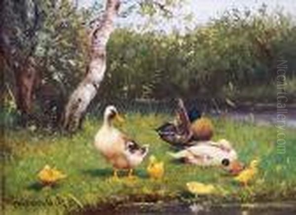 Entenfamilie Im Gras - view 1