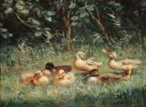 Sechs Entenkuken Im Gras by David Adolf Constant Artz