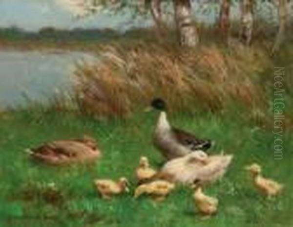 A Duck Family By A Pond - view 1