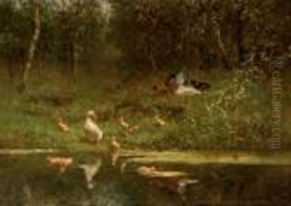 Ducks And Ducklings On A Riverbank - view 1