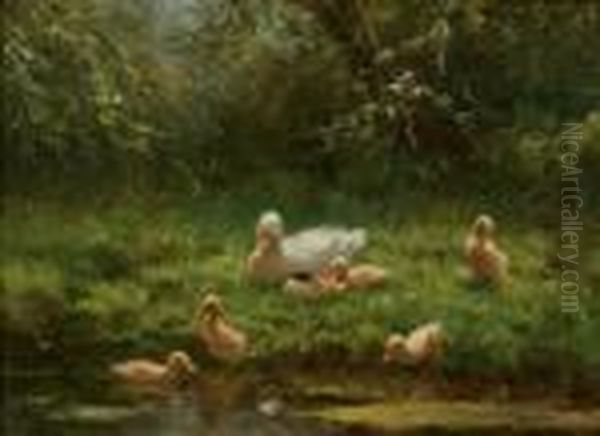 Mother Duck With Her Ducklings - view 1