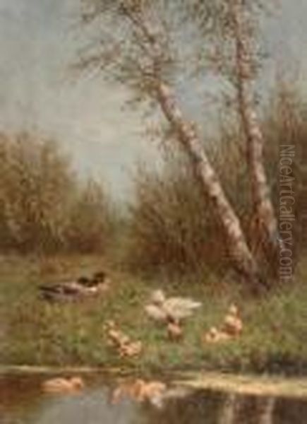 Ducks On A Riverbank - view 1