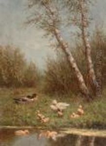 Ducks On A Riverbank