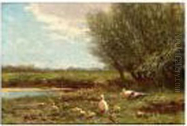 Ducks With Ducklings On The Riverbank - view 1