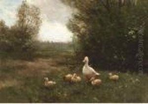 A Duck With Her Ducklings