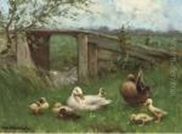 Ducks Near A Bridge - view 1