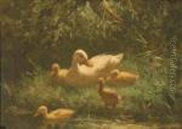 Ducks By The Waterside - view 1