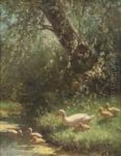 A Duck Family On The Riverbank - view 1