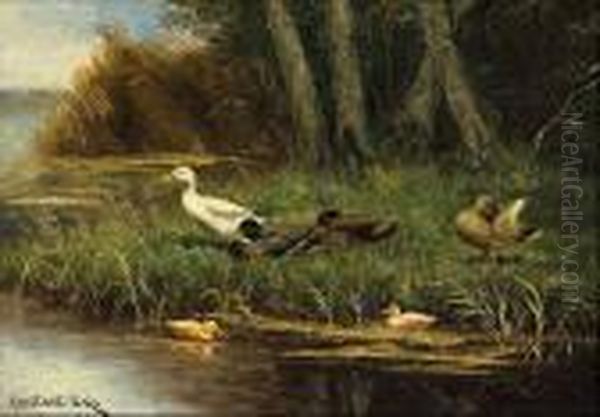 Patos En El Rio - view 1