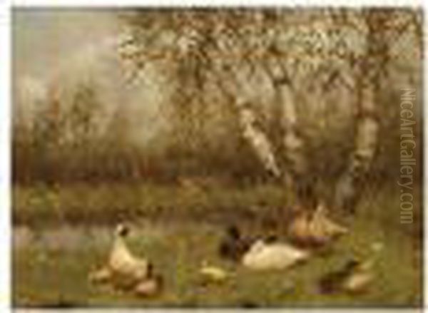 Duck With Ducklings On The Riverbank - view 1