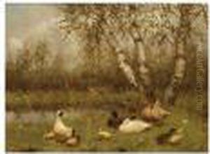 Duck With Ducklings On The Riverbank