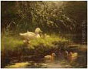 First Swim by David Adolf Constant Artz