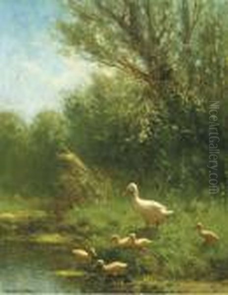 A Duck Watching Over Her Young - view 1