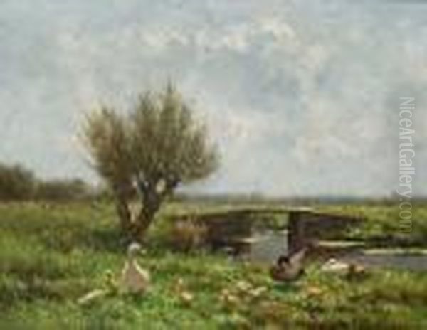 Ducks By A Riverbank - view 1