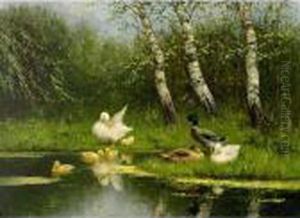 Mother Duck With Ducklings; Duck Family At The Waterside by David Adolf Constant Artz