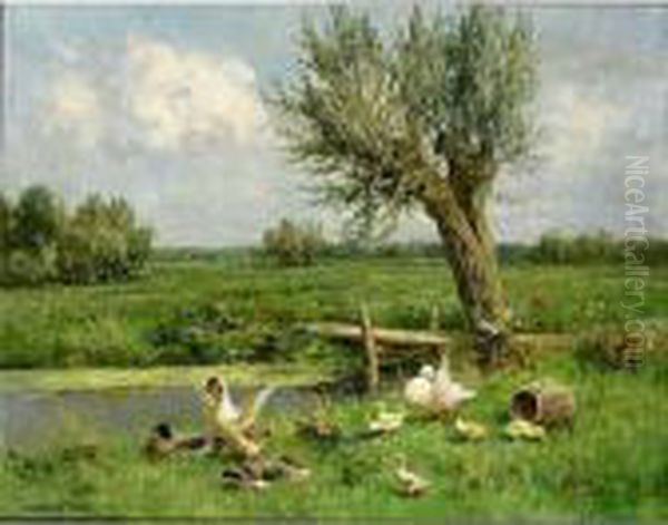Ducks On The Riverbank - view 1