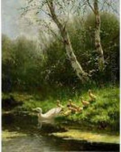 Duck With Ducklings Watering