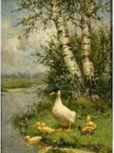 A Duck With Her Ducklings On The Riverbank