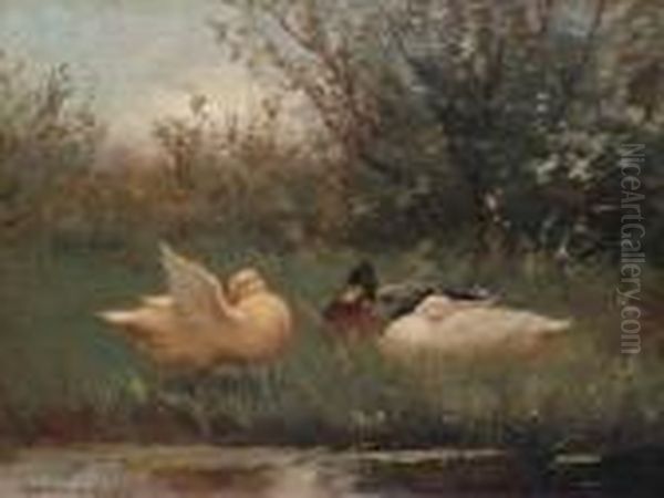 Ducks On A Riverbank - view 1