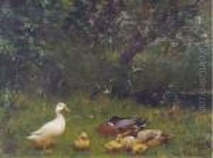 A Duck Family Near A Stream by David Adolf Constant Artz