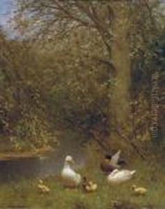Under A Tree On The Riverbank