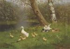 Ducks And Ducklings By The Waterside