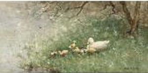 A Duck With Ducklings On The Banks Of A Pond