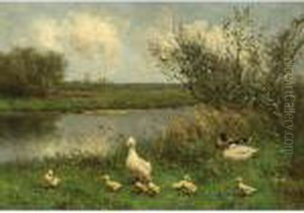 Duck With Ducklings Near The Waterside - view 1
