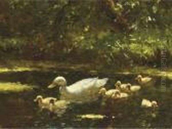 A Duck Wih Her Ducklings - view 1