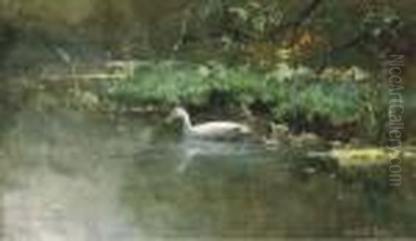 A First Swim - view 1