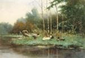 Ducks On A Riverbank