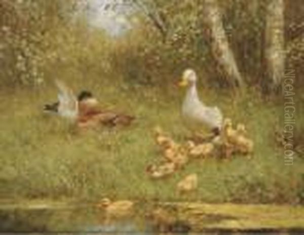 Ducks By The Waterside - view 1