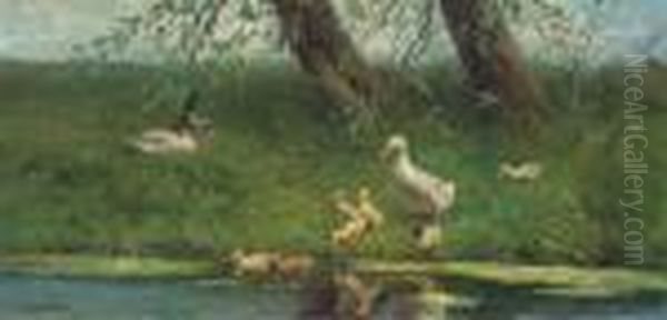 Ducks And Ducklings On A River Bank - view 1