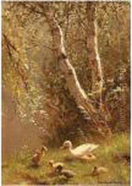 A Duck With Her Ducklings Near Birchtrees - view 1