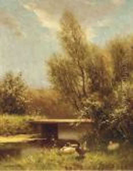Ducks By The Waterside - view 1
