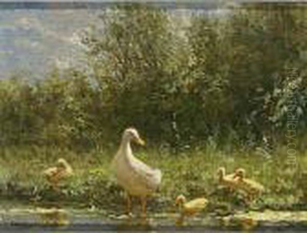 Duck With Her Ducklings On The Riverbank - view 1