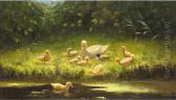 A Duck And Her Young On The River Bank - view 1