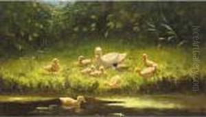 A Duck And Her Young On The River Bank A Duck And Her Young On The River Bank