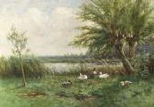 Under The Willows